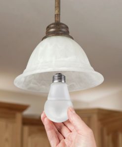 Tcp 6 Pack Of Led A19 - 60 Watt Equivalent Daylight (5000K) Light Bulb La1050.. 6 57 8f265259 bf63 4451 9d77 fa978e19f0d4