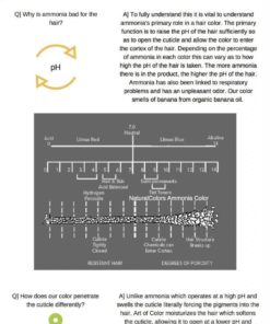 Onc Natural Colors Healthier Permanent Hair Color - 120Ml (4Oz) | Premium Sal.. 14 57 8fa2fba7 d4e1 4fac a737 990f234b1676