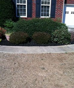 57 8fbde884 8c16 41ff b0cd e7fb8c400160