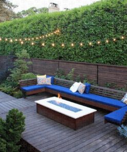 Deneve G40 String Lights With 25 Clear Globe Bulbs - Green 13 57 8fd8ae65 e4eb 4a61 a012 51080862fb66