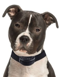 57 90458980 c691 4249 bd52 64c7a1d757e7