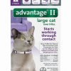 Advantage Ii Flea Control Large Cat (For Cats Over 9 Lbs.) - 2 Month 2Pack 3 57 914ee45d 0201 428e b918 85921d00874c