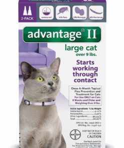 Advantage Ii Flea Control Large Cat (For Cats Over 9 Lbs.) - 2 Month 2Pack