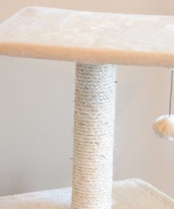 57 91d0ca1a 2327 45c4 bbbd ed32bbbbd902