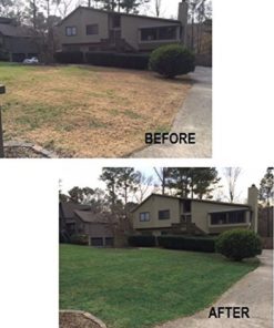 1000 Sq. Ft. 4Evergreen Grass And Turf Paint 6 57 927653fa 85bc 475a 8e8a 8a14456e5a6b