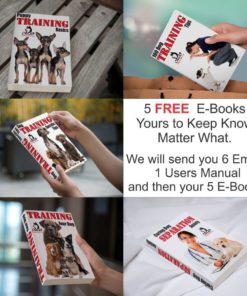 Our K9 Mint Bark Collar. Toy Breed No Bark Collar & Small Dog Anti-Bark Colla.. 14 57 92873c81 cc24 4a81 b7a2 58c3df1bffa4