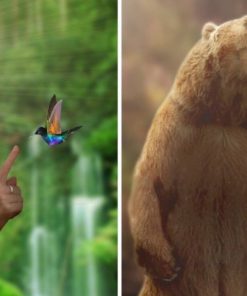 57 963e6613 4588 4df3 8586 a7949616fd3c