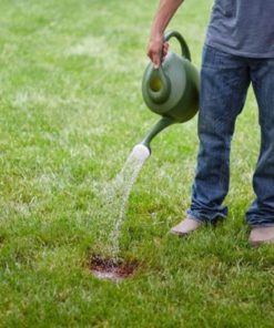 57 9aebbdf0 df44 460f b761 f55876ad530d