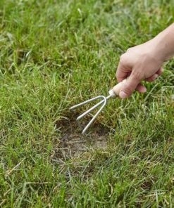 57 9d55c8a0 644a 4e1d af3e 8c9d189db24f