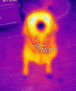 Flir One Thermal Imager For Android 16 57 9f498ee4 6882 4cda 880e ffe06d563e0f