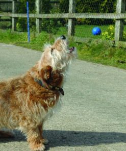 57 9fec44dc 1f76 4e0a 8189 5eaf954764dc