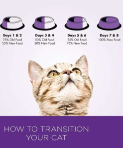 57 a0880719 7a1e 43a4 9f83 162e0f823591