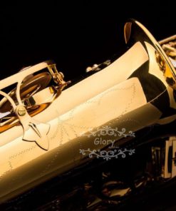 Glory Professional Alto Eb Sax Saxophone Gold Laquer Finish Alto Saxophone Wi.. 11 57 a2dbb381 2213 4695 9bd2 1493e72c2329