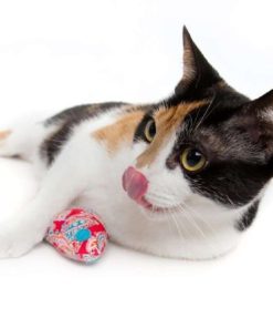 Lion Mane Dog Cat Costume And Complimentary Feathered Catnip Toy - Dog And Ca.. 15 57 a2f01b54 160b 4f9d 9ffb 8cdbfa49289d