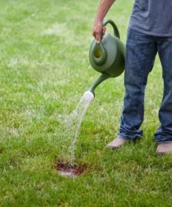 57 a5a29884 0319 457d 87ce c973faa652f2