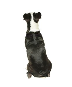 57 a628a39e 92b6 4138 92f7 b72ed91ed77c