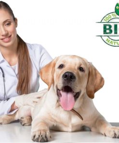 57 a72edc71 fb5c 4d8f bfca 2f24d1eea823