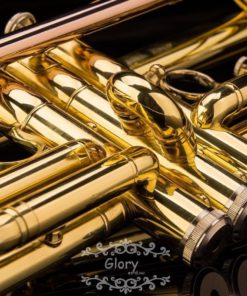 57 a8a0efa5 264f 473d 855d dd9d2049b6c4