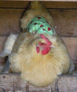 57 a9c21e43 24a9 4c38 b666 a3c6c1bc8553