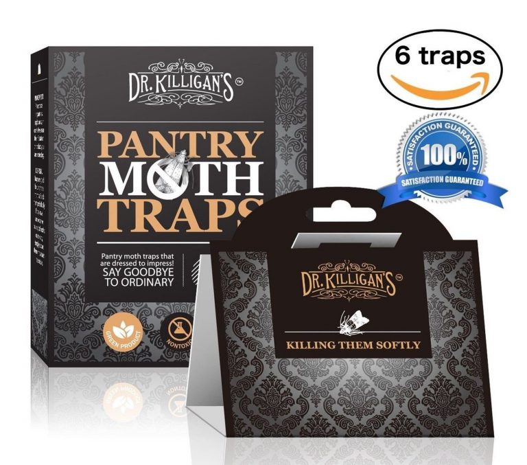 Premium Pantry Moth Traps (6 Black Traps) With Pheromone Attractant | 100% Sa..