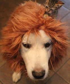 Lion Mane Costume And Big Dog Lion Mane Wig - Large Dog Costumes By Pet Krewe 10 57 aed0ce4b bb7c 47bb 8a8f 86c1f76cd12e