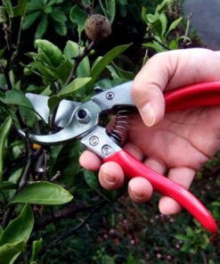 Alternative view of Ars Hp-Vs8Z Signature Heavy Duty Pruner