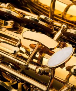 Glory Professional Alto Eb Sax Saxophone Gold Laquer Finish Alto Saxophone Wi.. 16 57 b6c3c8b2 4072 49dc bfc1 2e46d1a5bde7