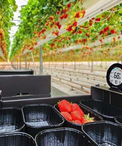 Acurite 01080M Pro Accuracy Temperature & Humidity Monitor With Alarms 11 57 b8ebc2b6 e78c 41f9 90f3 876a2444a652