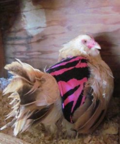 57 ba445e35 66af 4ff7 aa3e 97137fa0b77a