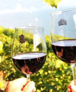 57 ba4792d0 aaa9 445f a3a6 a95134aa3b55