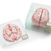 Brain Specimen Coasters 10 57 baf53259 85d6 4173 8efc 9dd1d7e74748