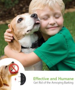 Petist No Bark Shock Collar Electronic Dog Anti Bark Collar No Harm Sound And.. 9 57 bafb5e71 cfc6 428d b8af de5c0be4b88a