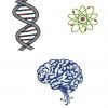 Science Temporary Tattoo (Classroom Pack) 4 57 bdaddc87 496b 401c 95e2 95bfac831986