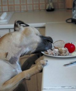 57 be6a0408 6670 4009 abce ac10b13748ca