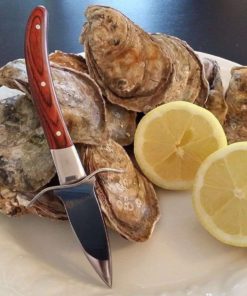Oyster Knife By Hicoup Premium Quality Pakka Wood-Handle Oyster Shucking Kni.. 12 57 bf1bb854 5616 45d9 947f fea2ec3ba316