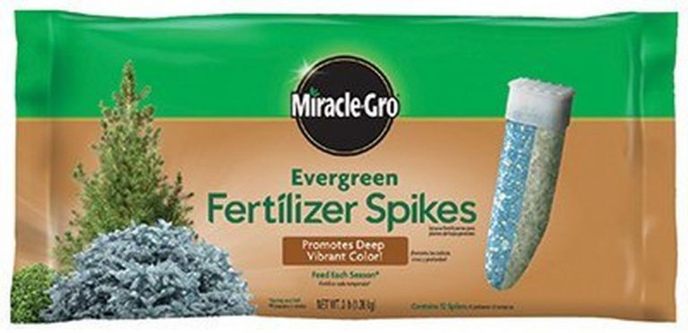 Scotts Miracle Gro 1003761 Evergreen Fertilizer Spikes 12-Pk. - Quantity 12