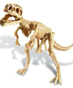 Alternative view of Dig A Dino Tyrannosaurus Rex