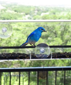 Flock To Me Bird Feeder With *Lifetime Replacement Guarantee*. Clear Removabl.. 8 57 d0c6582c 1a5a 4bc5 bb24 26f1470e8be5