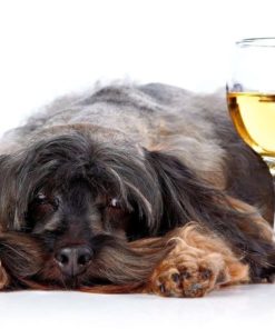 Alternative view of Simply Charmed Dog Wine Charms Or Glass Markers - Magnetic - Great Birthday O..