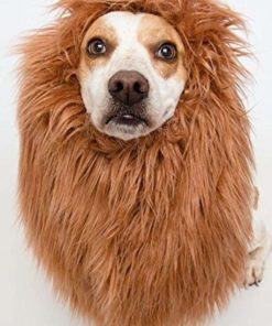 Lion Mane Costume And Big Dog Lion Mane Wig - Large Dog Costumes By Pet Krewe 9 57 d3a03f13 769e 48ce a125 da65d50fe7f0