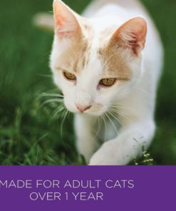 57 d3fc3312 25d1 483a 9b22 6bee24a4505e