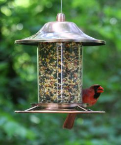 Perky-Pet Copper Panorama Bird Feeder 312C 8L X 8W Ins. Perky-Pet 9 57 d566df21 798b 446c ae8b 5dcfe805724d