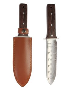 57 d59be9ae d5d0 4bb7 9db6 76f30ee52e35