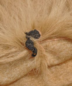 57 d5b99b23 abca 435c 9539 3def6627fd22