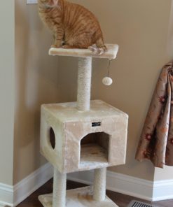 57 d81a091e 1ec8 45ab a87e 3d09f4c72638