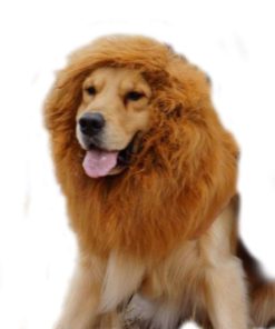 57 d91fe216 dfa8 444a 86ff 5120836bc237 1