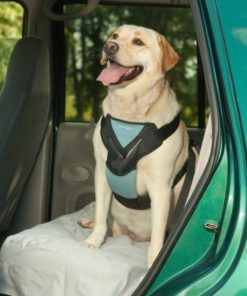 Bergan Dog Auto Harness With Tether L 10 57 da4dafaa e365 4872 8a50 5b7253049795