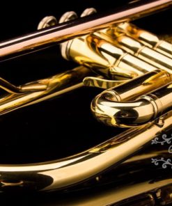 57 daa39a78 0546 4949 be87 5f00dba51984