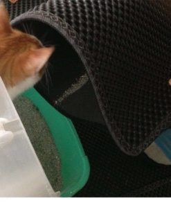 57 dad53e22 4936 4d49 a4ac d1de5d2d8f98