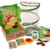 Butterfly Garden Gift Set With Live Cup Of Caterpillars